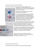 Complejo mayor de histocompatibilidad