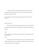 Child s Own S.A de C.V