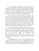 Rol del veterinario