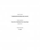 Planeacion estrategica para el estudio