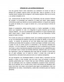 OPINIÓN DE LAS GUERRAS MUNDIALES