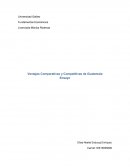 Ventajas Comparativas y Competitivas de Guatemala Ensayo
