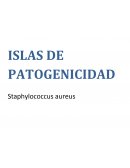 Islas de patogenicidad de S. aureus