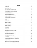 Monografia especial de la obecidad