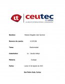 Biodiversidad Monogafia