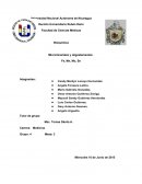 Microminenarales y oligoelementos