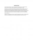 Pelota de bórax y su introduccion