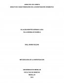 ENSAYO DE CARACTERIZACION DE LA INVESTIGACION DOGMATICA