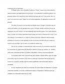 Conclusion de los 8 principios sustentabilidad y ambiente