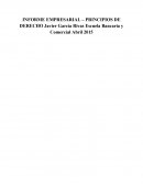 INFORME EMPRESARIAL – PRINCIPIOS DE DERECHO