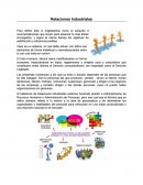 Ensayo relaciones industriales