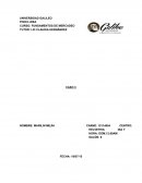 Tener el conocimiento y las herramientas es necesario en el mundo de los negocios