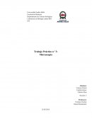 Laboratorio N°3 Microscopia Universidad Andres Bello