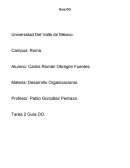 Guía desarrollo organizacional
