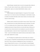 Napoleon Bonaparte ensayo