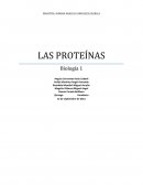 Proteinas