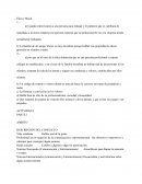 Actividad Ética y Moral