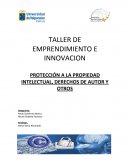 TALLER DE EMPRENDIMIENTO E INNOVACION PROTECCIÓN A LA PROPIEDAD INTELECTUAL, DERECHOS DE AUTOR Y OTROS