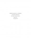 EL NUEVO CONTROL 7 RISES RILES EMISIONES GASEOSAS