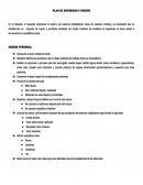 PLAN DE SEGURIDAD E HIGIENE