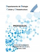 Protocolo de ensayos de Biología celular y Ultraestructura