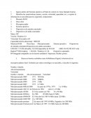 ¿Qué hay en mi computadora?