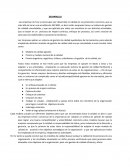 DESARROLLO Las empresas de hoy se preocupan por desarrollar la calidad en sus productos o servicios