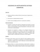 ASESORIAS EN INSTRUMENTOS DEFENSA COMERCIAL
