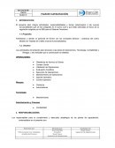 Ensayo de un Proyecto