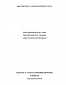 INVESTIGACION DE LA ZONA DE FRANCA DE CUCUTA