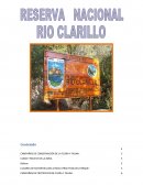 RIO CLARILLO