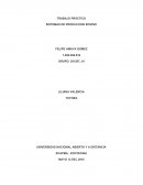 SISTEMAS PRODUCCION BOVINO