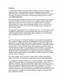 El problema del indio