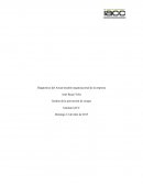 Diagnostico de modelo organizacional de una empresa