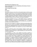 Hipomelanosis de Ito: Reporte de un caso