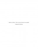 Hardware y Software – Partes y piezas de acuerdo a las necesidades