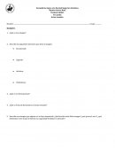 Examen global artes visuales primer grado