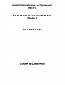 MICROBIOMA DE LA PIEL