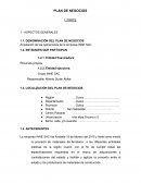 Plan de Negocios