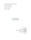 HOJA DE TRABAJO NO.4 LAS CLASES SOCIALES GRUPO #13