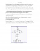 PIROMETALURGIA DEL COBRE