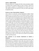 Director desorganizado