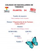 Ensayo “Organización de las Naciones Unidas (ONU)”