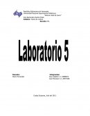 Practica N 5: Analisis de sistemas de control en el dominio frecuencial - Lugar geometrico de las raices