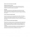 Explica al menos dos principios de la calidad