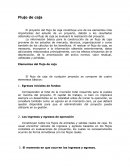 El proyecto del flujo de caja