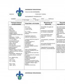 Proceso de enfermeria