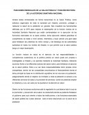 FUNCIONES ESENCIALES DE LA SALUD PUBLICA