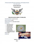 TÍTULO DEL PROYECTO: EL HUEVO EN ALCOHOL