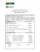 Plan anual de geografia de mexico